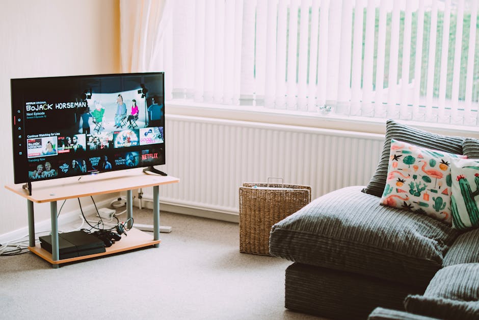 IPTV installatie en setup na succesvolle iDEAL betaling in Nederlandse woonkamer